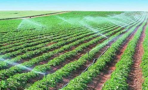 骚逼高潮浪叫hh视频农田高 效节水灌溉